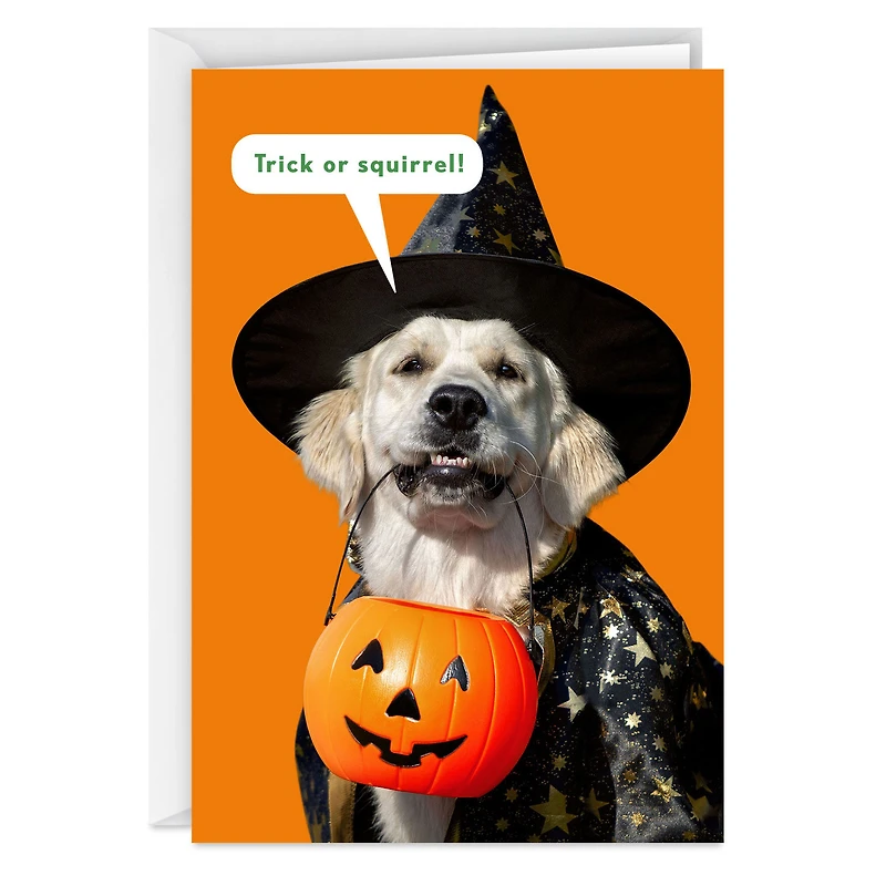 All Your Favorite Treats Funny Halloween Card for only USD 3.69 | Hallmark