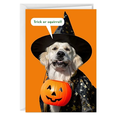 All Your Favorite Treats Funny Halloween Card for only USD 3.69 | Hallmark