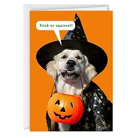All Your Favorite Treats Funny Halloween Card for only USD 3.69 | Hallmark