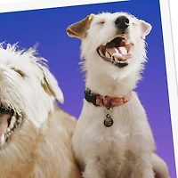 That One Friend Funny Friendship Card for only USD 3.99 | Hallmark