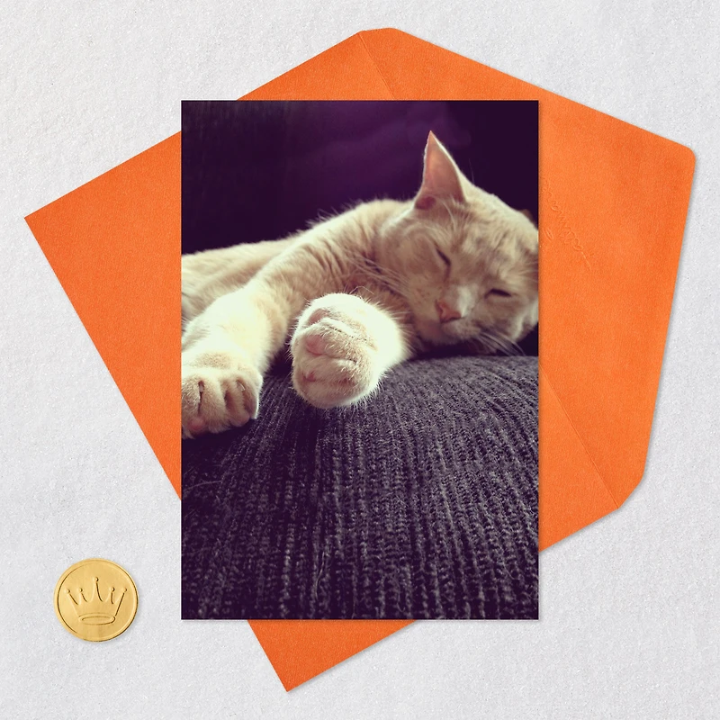 Celebrate Like a Cat Funny Birthday Card for only USD 3.99 | Hallmark