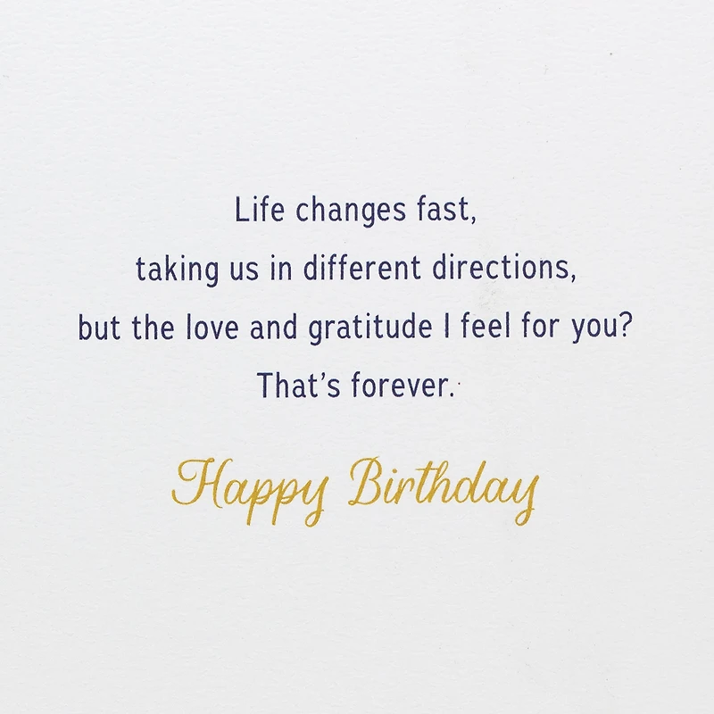 You'll Always Have a Place in My Heart Birthday Card for Brother for only USD 7.99 | Hallmark