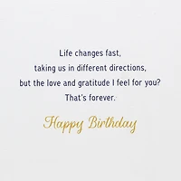 You'll Always Have a Place in My Heart Birthday Card for Brother for only USD 7.99 | Hallmark