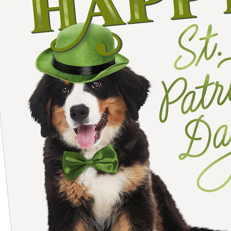 Luck, Laughter and Fun St. Patrick's Day Card for only USD 2.99 | Hallmark
