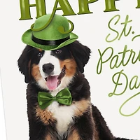 Luck, Laughter and Fun St. Patrick's Day Card for only USD 2.99 | Hallmark