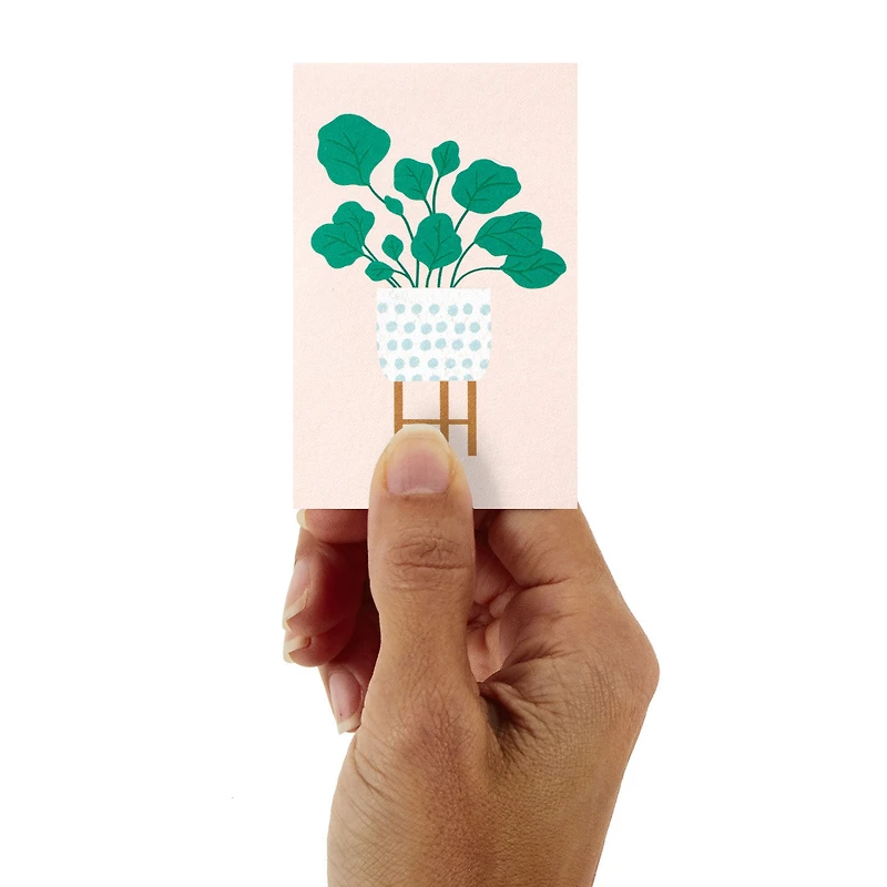 Mini Potted Plants Assorted Blank Notes, Pack of 12 for only USD 8.99 | Hallmark