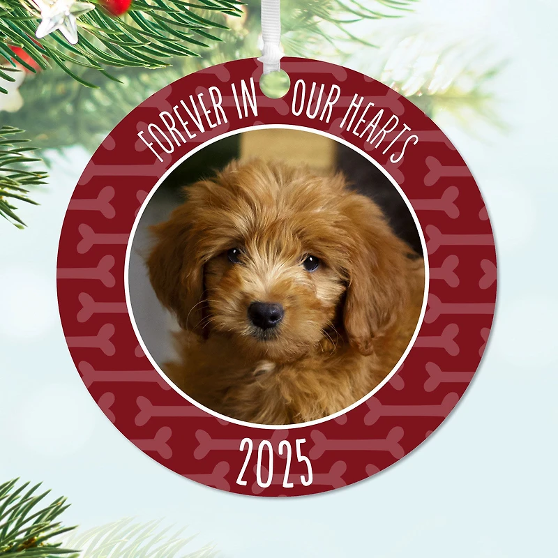 Pet Memorial Round Metal Personalized Ornament, Custom Photo and Text for only USD 17.99 | Hallmark