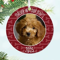 Pet Memorial Round Metal Personalized Ornament, Custom Photo and Text for only USD 17.99 | Hallmark