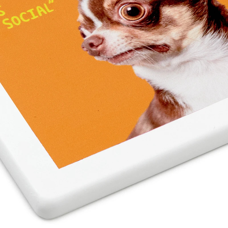 Scared Chihuahua Photo Funny Coaster for only USD 6.99 | Hallmark