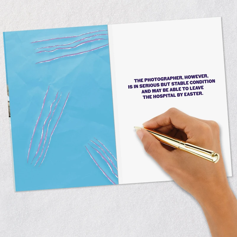 No Animals Were Harmed Funny Easter Card With Sound for only USD 5.99 | Hallmark