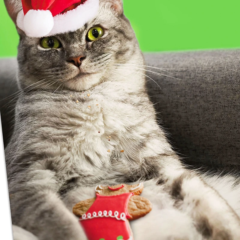 Eat All the Damn Cookies Cat in Santa Hat Funny Christmas Card for only USD 3.99 | Hallmark