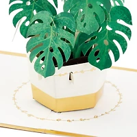 Plant in Pot 3D Pop-Up Thinking of You Card for only USD 12.99 | Hallmark