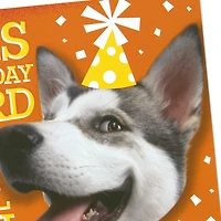 Hugging Dog Pop-Up Birthday Card With Mini Cards for only USD 6.59 | Hallmark