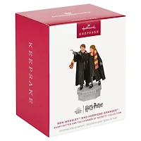 Harry Potter and the Chamber of Secrets™ Collection Ron Weasley™ and Hermione Granger™ Ornament With Light and Sound for only USD 49.99 | Hallmark