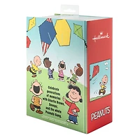 Peanuts® Charlie Brown and Snoopy Hallmark Ornaments, Set of 2 for only USD 28.99 | Hallmark