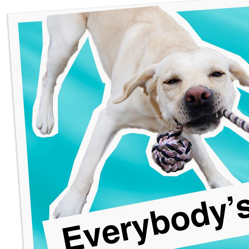 Everybody's Pulling for You Good Luck Card for only USD 4.49 | Hallmark