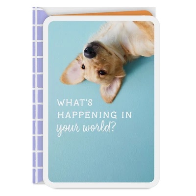 What's Happening in Your World Blank Card for only USD 2.99 | Hallmark