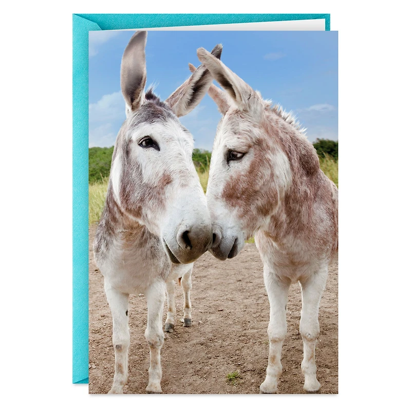 Glad You're Still Mine, Donkey Funny Romantic Anniversary Card for only USD 3.99 | Hallmark