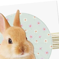 Hope a Little Happiness Peeks Out Easter Card for only USD 2.99 | Hallmark