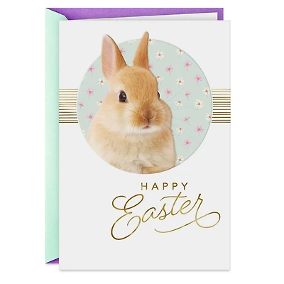 Hope a Little Happiness Peeks Out Easter Card for only USD 2.99 | Hallmark
