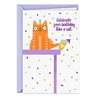 Do Anything You Damn Well Want Funny Birthday Card for only USD 4.49 | Hallmark