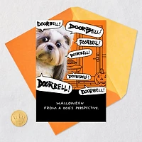 Dog and Doorbell Frenzy Funny Halloween Card for only USD 3.69 | Hallmark