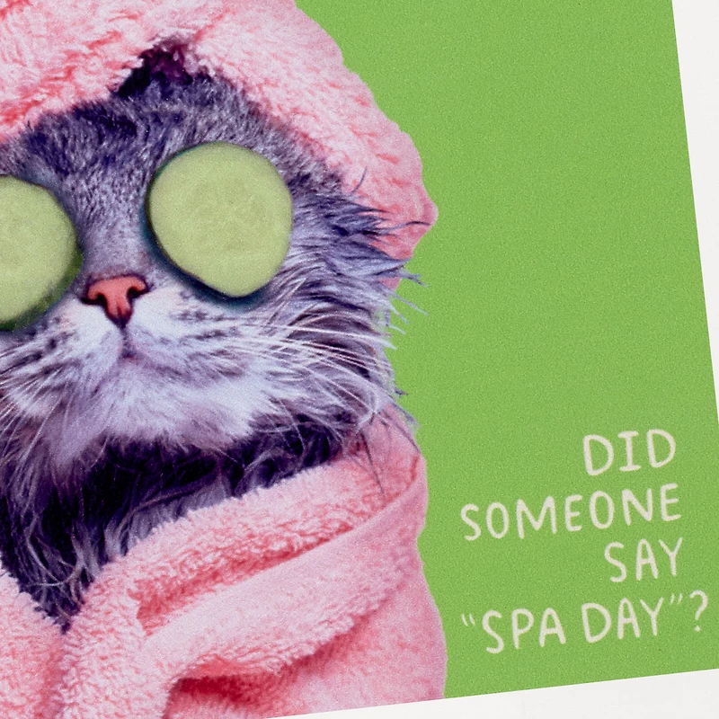 Pampered Cat Photo Funny Coaster for only USD 6.99 | Hallmark