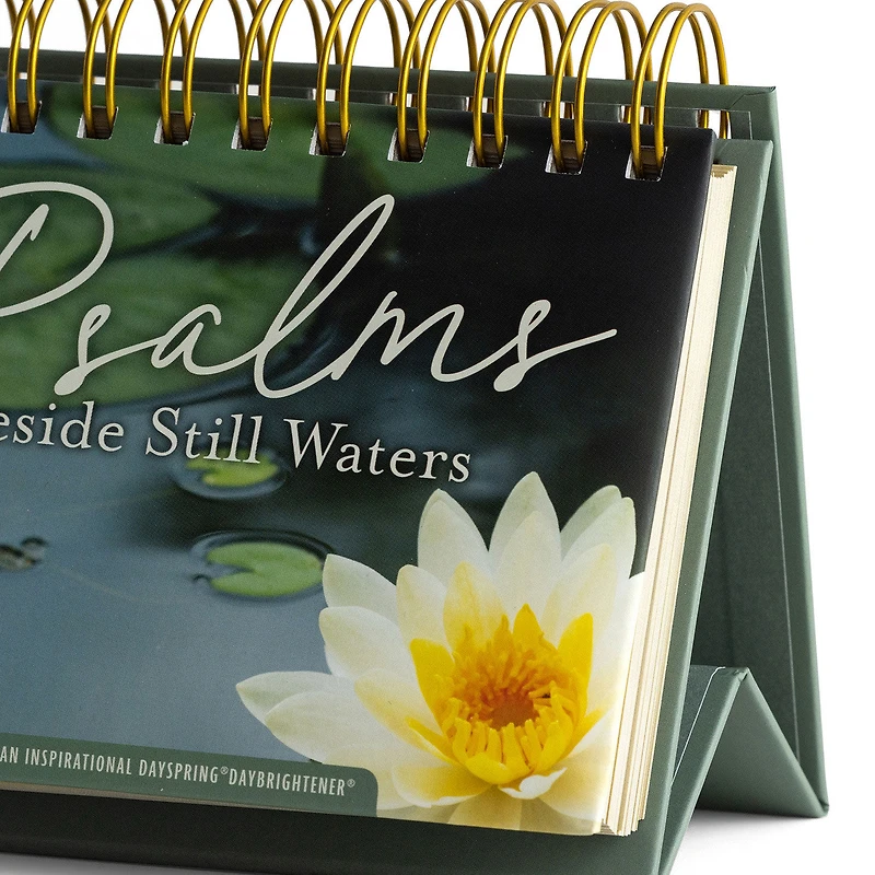 Psalms Beside Still Waters DaySpring DayBrightener Perpetual Calendar for only USD 10.99 | Hallmark