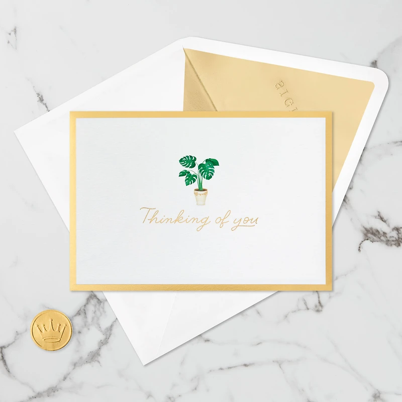 Plant in Pot 3D Pop-Up Thinking of You Card for only USD 12.99 | Hallmark