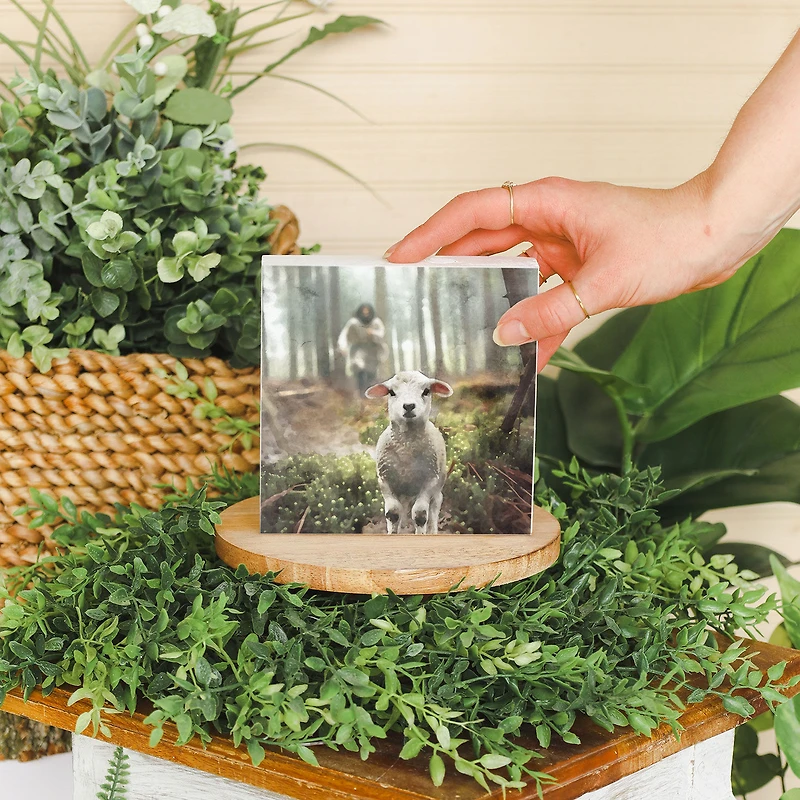 Sincere Surroundings Jesus and Lamb Scene Wood Sign for only USD 12.99 | Hallmark