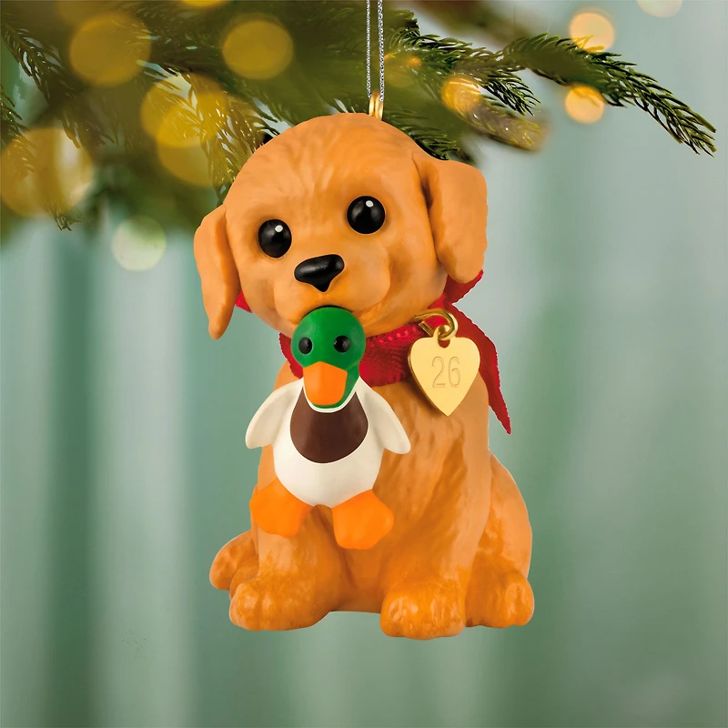 Puppy Love Golden Retriever 2026 Ornament for only USD 19.99 | Hallmark