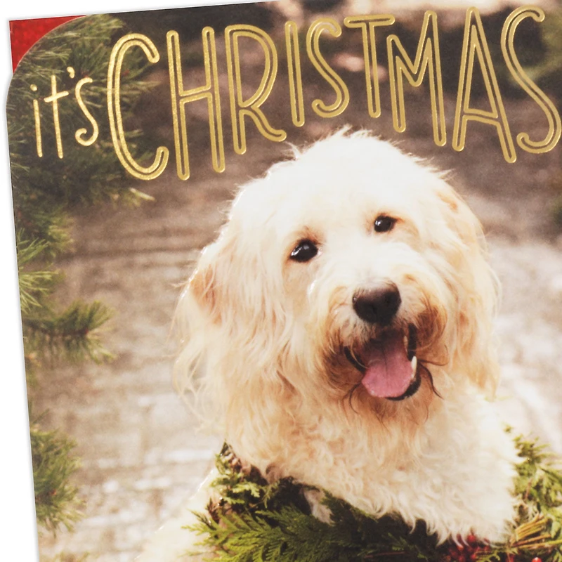 Warm and Fuzzy Holiday Wishes Christmas Card for only USD 5.59 | Hallmark