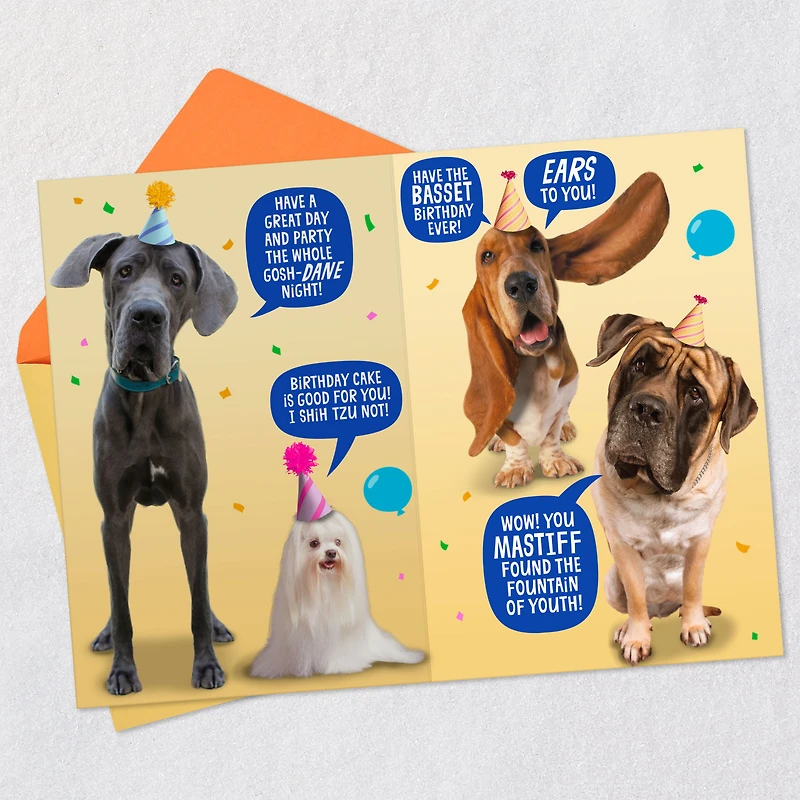 Wishing You a Treat-Filled Celebration Funny Birthday Card for only USD 4.59 | Hallmark