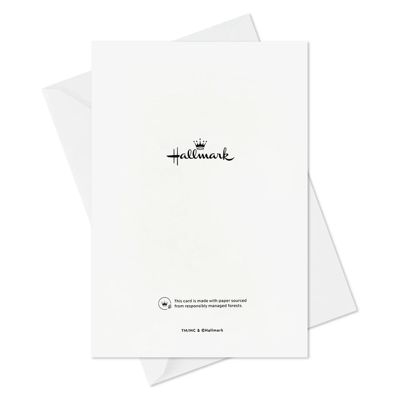 Cardinals on Pine Branches Boxed Christmas Cards, Pack of 12 for only USD 17.49 | Hallmark