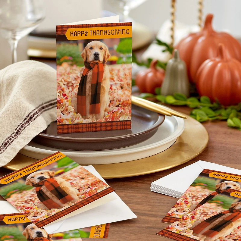 Warm Thoughts of You Thanksgiving Cards, Pack of 6 for only USD 6.99 | Hallmark