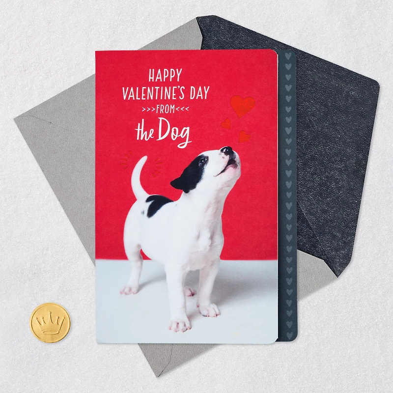 I'm the Luckiest Valentine's Day Card From the Dog for only USD 2.99 | Hallmark