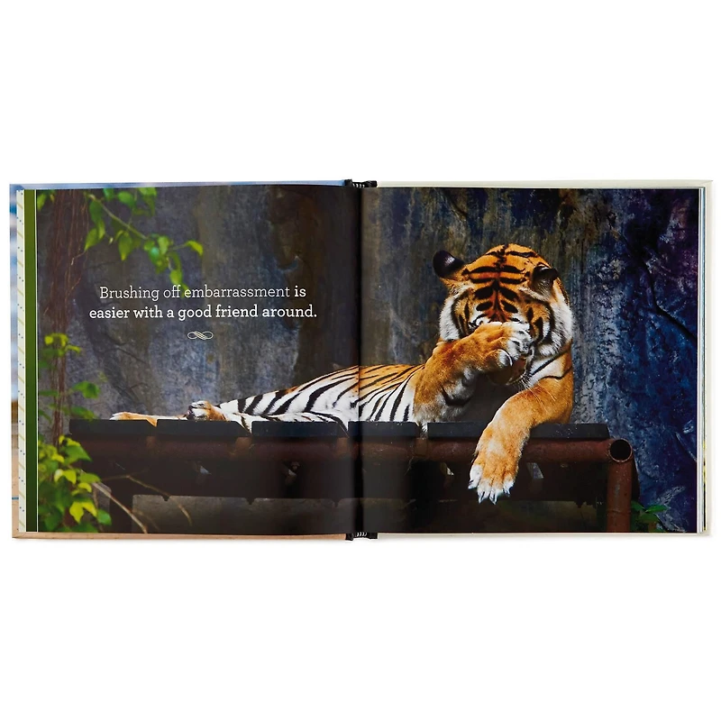 Friends Forever: 42 Ways to Celebrate Love, Loyalty and Togetherness Book for only USD 14.99 | Hallmark