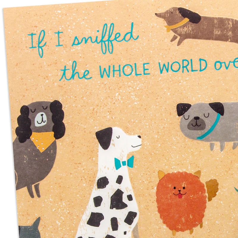 If I Sniffed the Whole World Mother's Day Card from Dog for only USD 4.99 | Hallmark