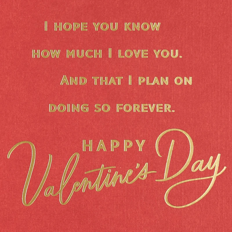 I Plan on Loving You Forever Valentine's Day Card for Wife for only USD 5.99 | Hallmark