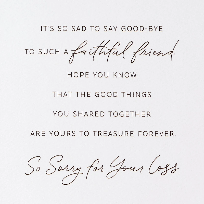 A Faithful Friend to Treasure Sympathy Card for Loss of Dog for only USD 5.59 | Hallmark