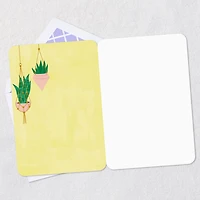 Houseplants in Hanging Baskets Blank Card for only USD 2.99 | Hallmark