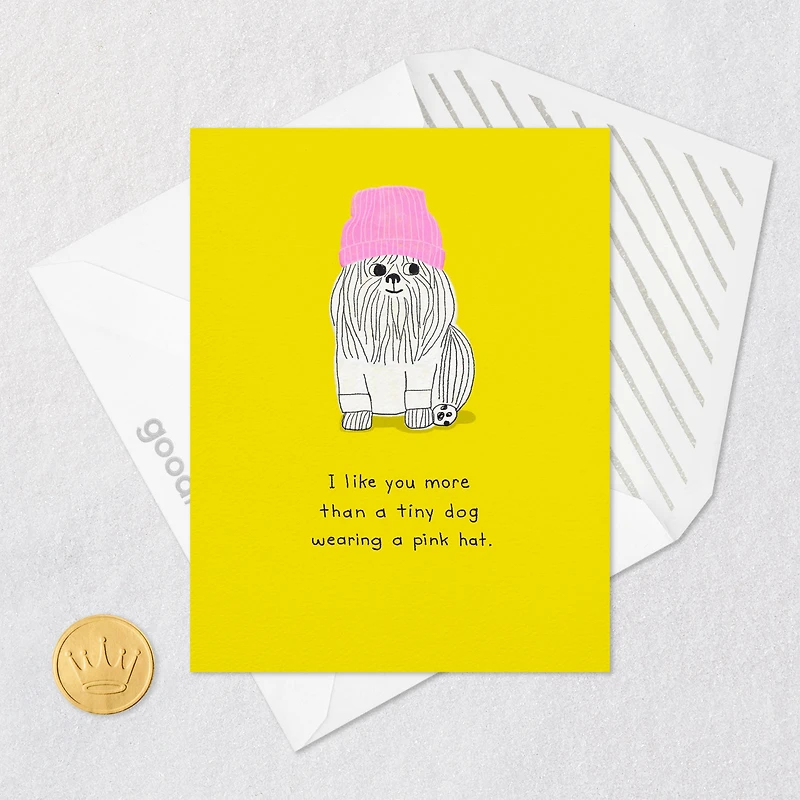 More Than a Tiny Dog Card for only USD 3.99 | Hallmark