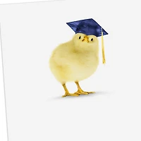 You're One of My Favorite Peeps Funny Graduation Card for only USD 3.99 | Hallmark