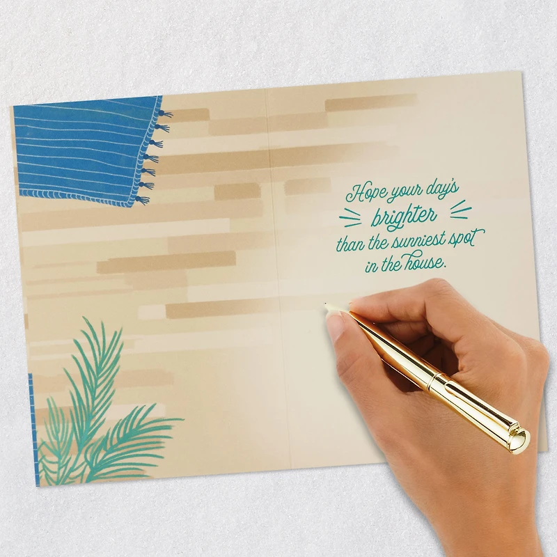 Find Your Sunny Spot Birthday Card From the Cat for only USD 2.99 | Hallmark