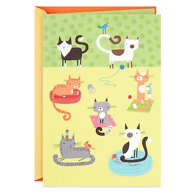 Cute Cats Blank Card for only USD 4.59 | Hallmark