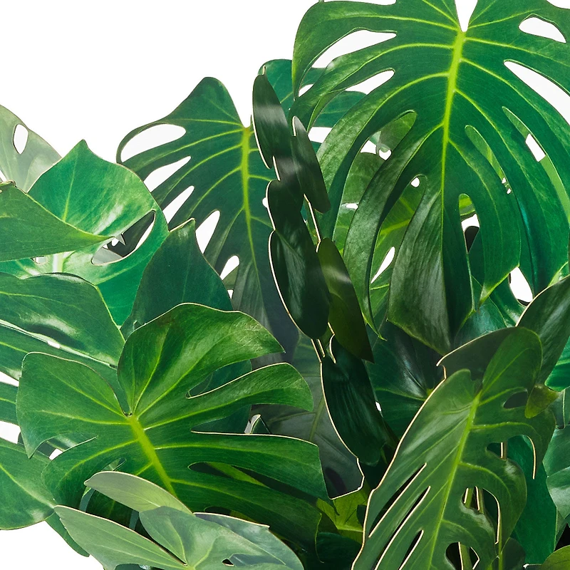 Build-a-Bouquet Monstera Pop-Up Paper Plant for only USD 9.99 | Hallmark