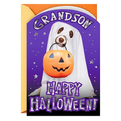 Dog in Ghost Costume Halloween Card for Grandson for only USD 2.99 | Hallmark