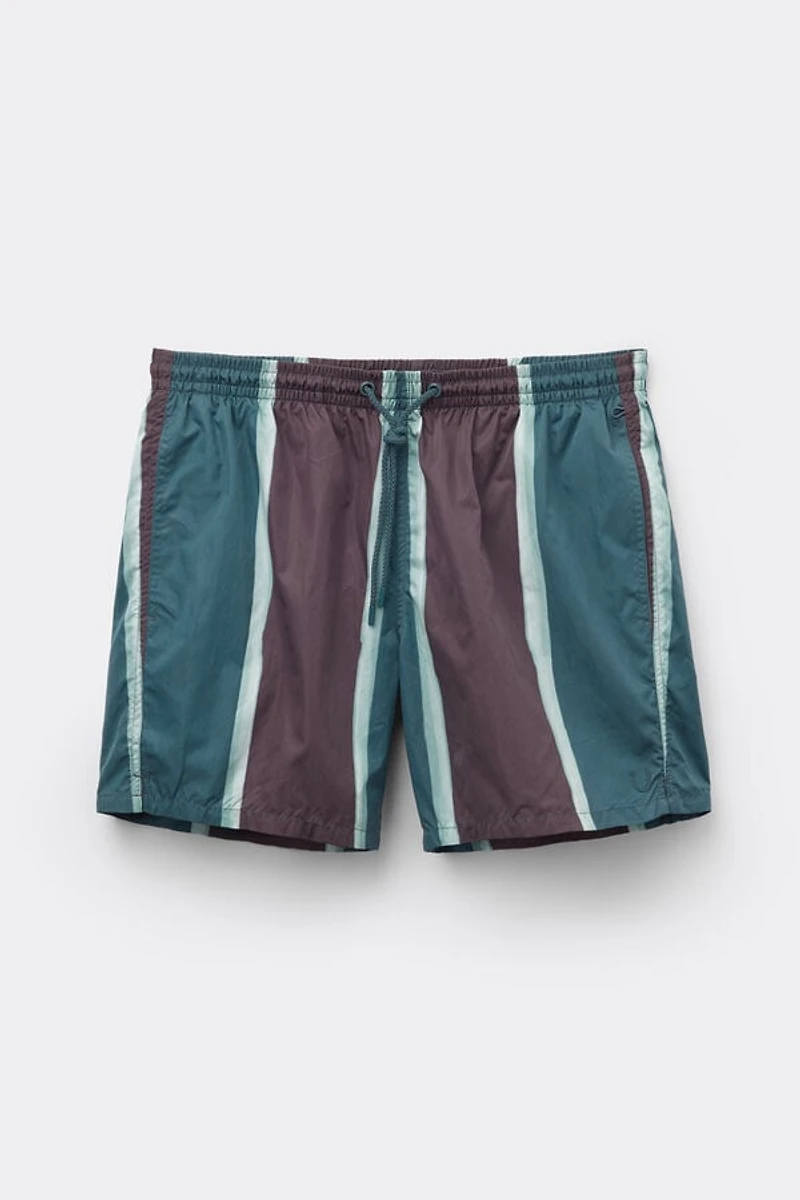 Macro Stripe Print Swim Trunks