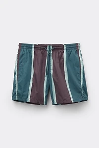 Macro Stripe Print Swim Trunks