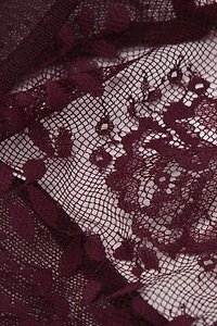 La Vie en Rose Hipster Brazilian